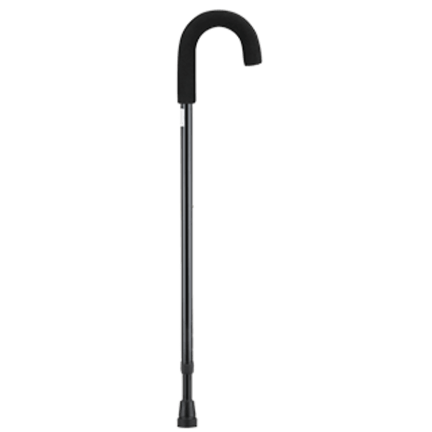 Cane with Curved Handle